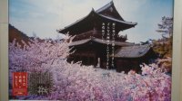DSC00270.JPG